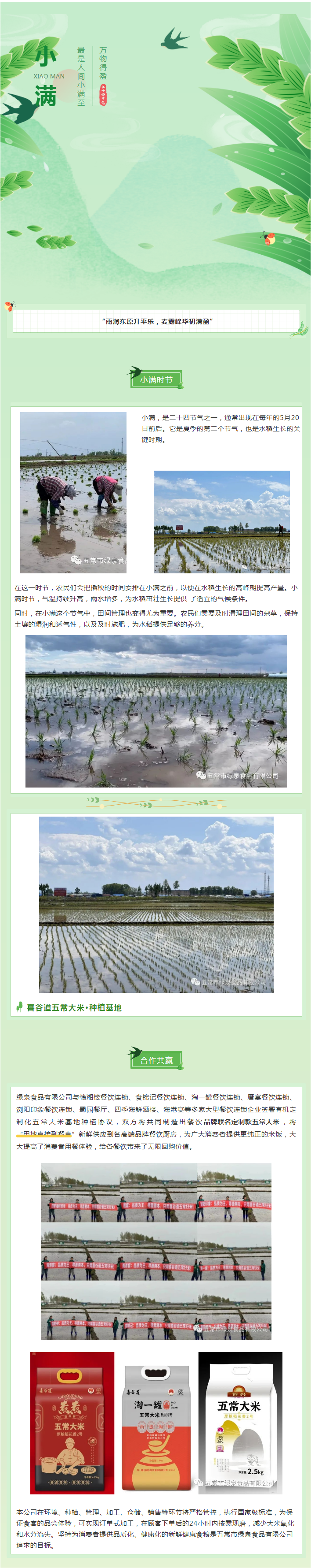今日小滿，宜萬物生長！五常大米插秧的好時節.png
